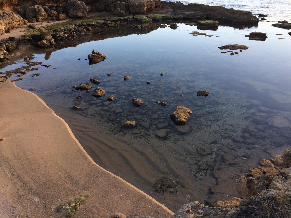 Catalan Daire Alghero Dış mekan fotoğraf