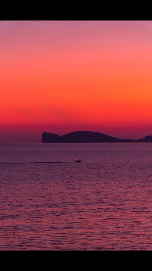 Catalan Daire Alghero Dış mekan fotoğraf